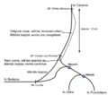 Thumbnail for version as of 11:21, 10 December 2024